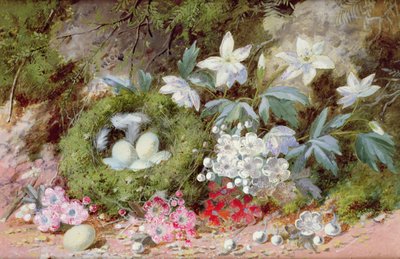 Still Life with Bird